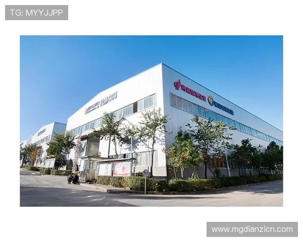 多宝电子集团未来在新兴技术领域的布局与发展方向