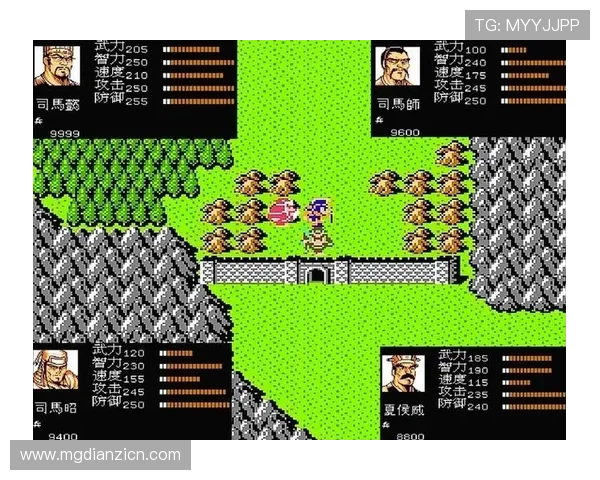 掌握FC游戏ROM分类技巧提升游戏体验与资源管理效率的实用建议