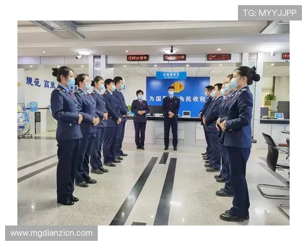hub电子税务局全面介绍与使用指南帮助企业高效办理税务事项