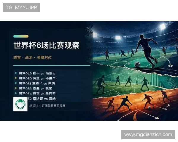 全面解析世界杯瑞士加拿大比赛大小球走势变化背后的战术策略