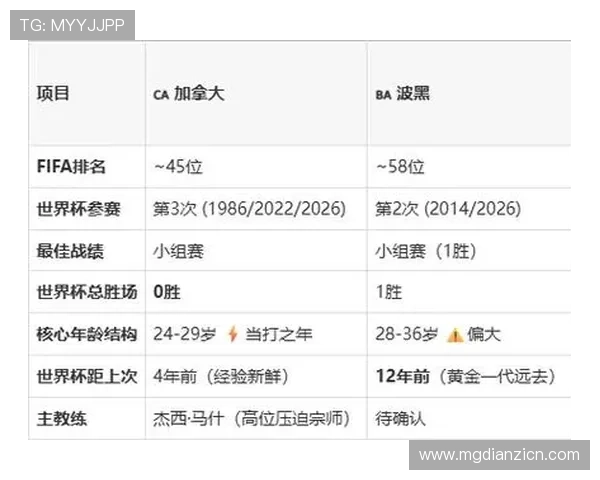 加拿大对阵波黑比赛半场战术布局与全场比赛关键数据分析
